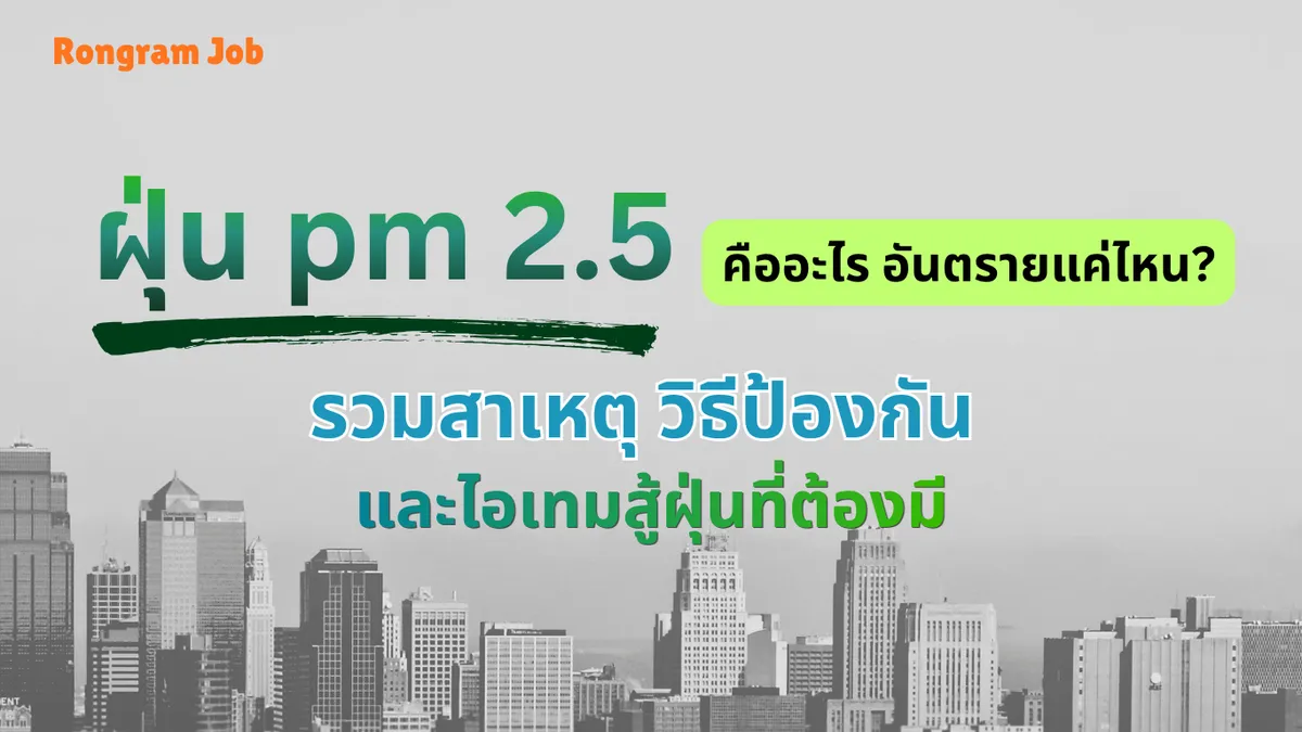 ฝุ่น pm 2.5
